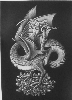 [Dragon]